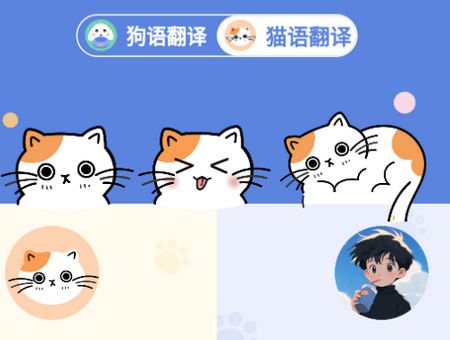 小白交流翻译app1.2.5 最新版