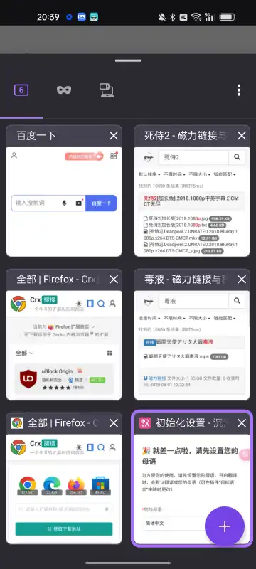 Fleet Browser扩展浏览器v2024.11.19 最新版