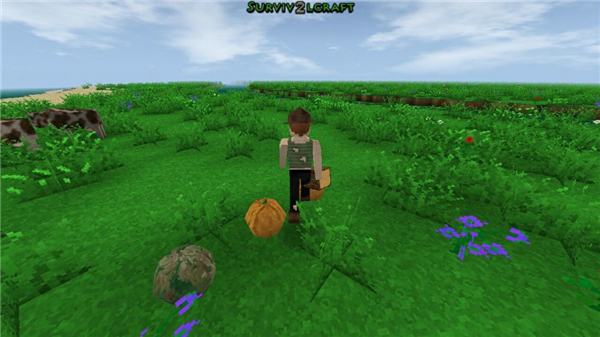 生存战争2Survivalcraft 2官方版2.4.10.1 完整版