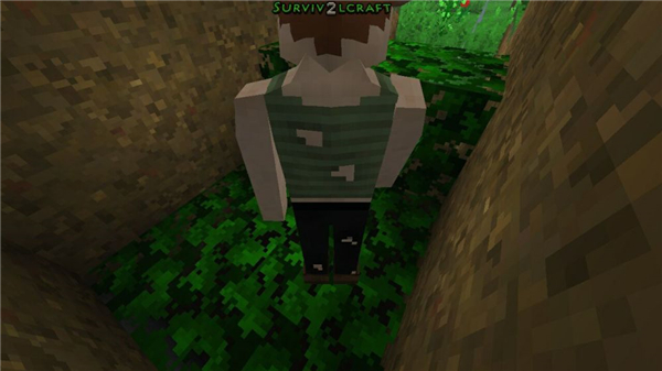 生存战争2Survivalcraft 2官方版2.4.10.1 完整版