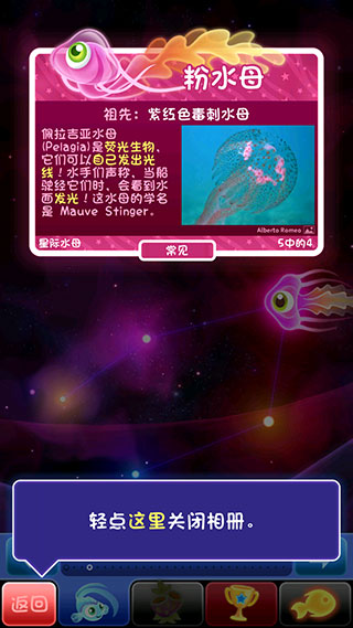 超级星鱼游戏v4.0.24 最新版